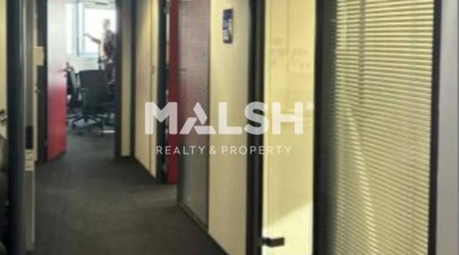 MALSH Realty & Property - Bureaux - Plateau Nord / Val de Saône - Caluire-et-Cuire - 3