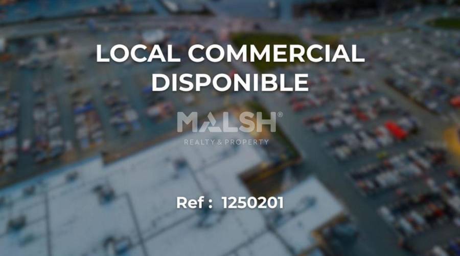 MALSH Realty & Property - Commerce - Plateau Nord / Val de Saône - Caluire-et-Cuire - 1