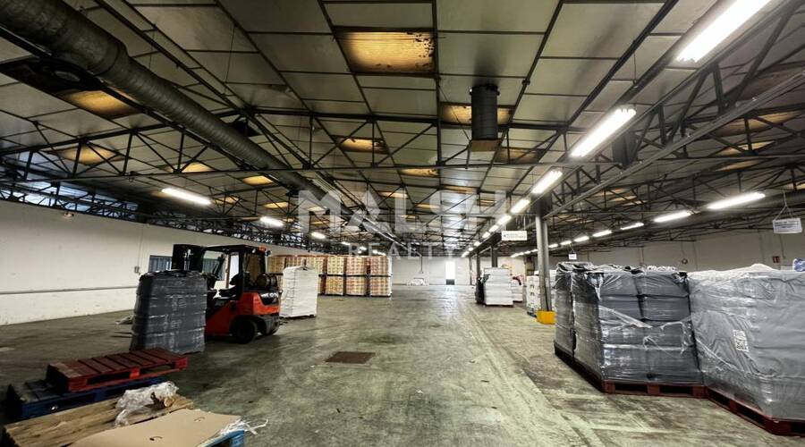 MALSH Realty & Property - Local d'activités - Côtière (Ain/A42/Beynost/Dagneux/Montluel) - Beynost - 2