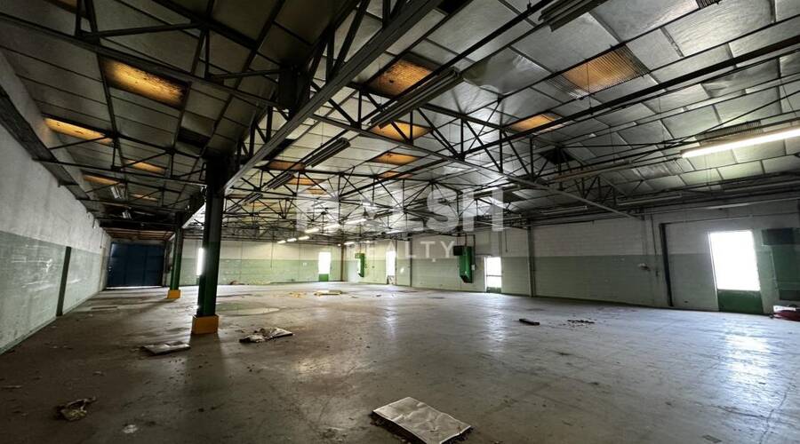 MALSH Realty & Property - Local d'activités - Côtière (Ain/A42/Beynost/Dagneux/Montluel) - Beynost - 3