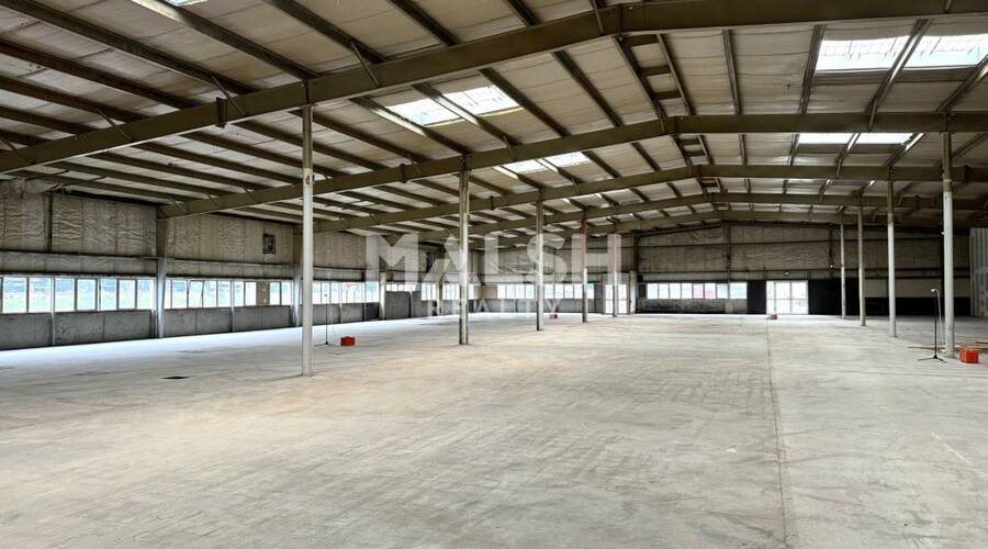 MALSH Realty & Property - Local d'activités - Saint Etienne - Saint-Étienne - 2
