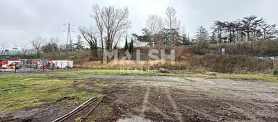 MALSH Realty & Property - Local d'activités - Saint Etienne - Saint-Étienne - 3