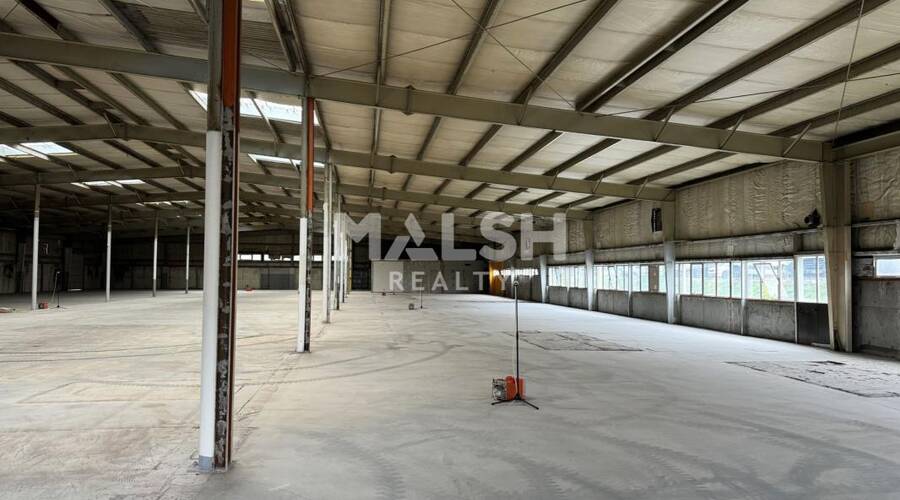 MALSH Realty & Property - Local d'activités - Saint-Etienne Métropole - Saint-Étienne - 1