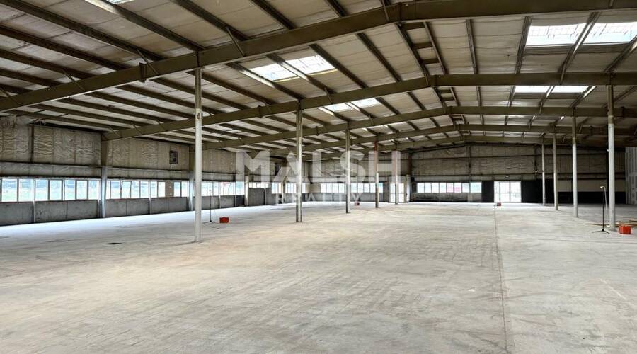 MALSH Realty & Property - Local d'activités - Saint-Etienne Métropole - Saint-Étienne - 2