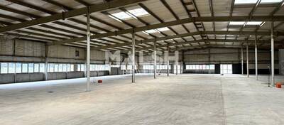 MALSH Realty & Property - Local d'activités - Saint-Etienne Métropole - Saint-Étienne - 2