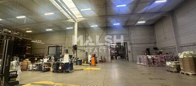 MALSH Realty & Property - Local d'activités - Lyon EST (St Priest /Mi Plaine/ A43 / Eurexpo) - Saint-Priest - 4