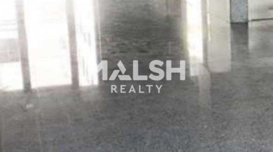 MALSH Realty & Property - Bureau - Plateau Nord / Val de Saône - Caluire-et-Cuire - 2