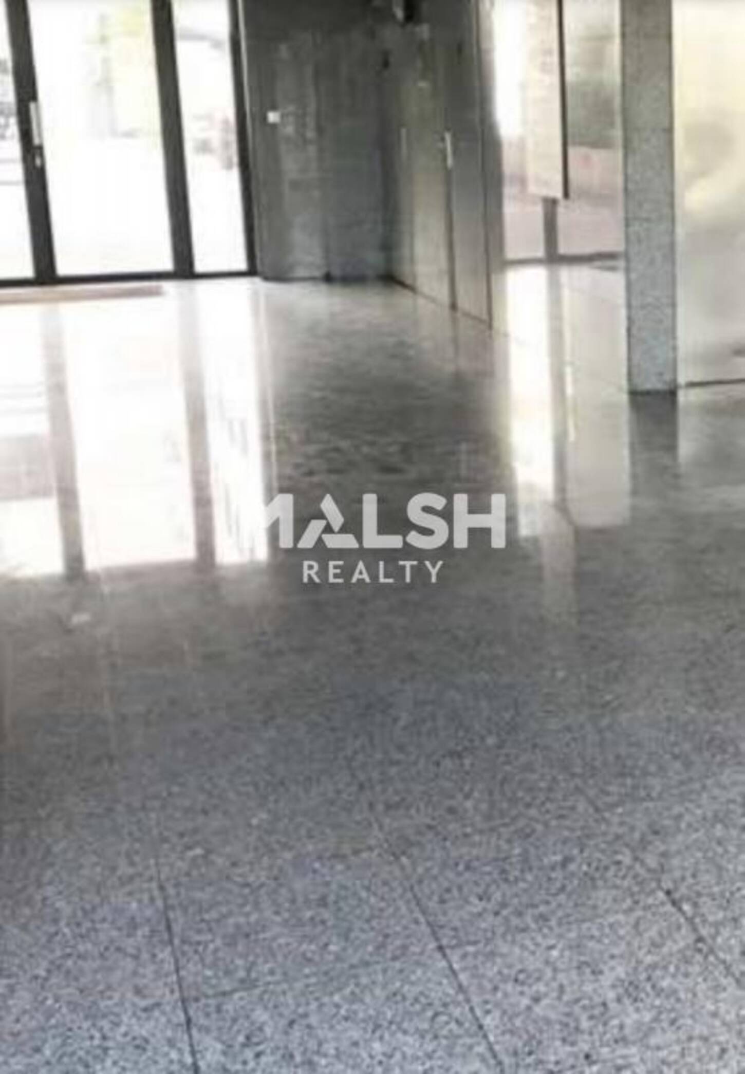 MALSH Realty & Property - Bureau - Plateau Nord / Val de Saône - Caluire-et-Cuire - 2