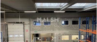 MALSH Realty & Property - Activité - Lyon EST (St Priest /Mi Plaine/ A43 / Eurexpo) - Genas - 2