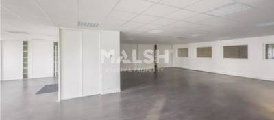 MALSH Realty & Property - Activité - Lyon EST (St Priest /Mi Plaine/ A43 / Eurexpo) - Genas - 11