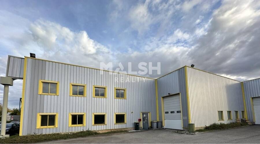 MALSH Realty & Property - Local d'activités - Lyon EST (St Priest /Mi Plaine/ A43 / Eurexpo) - Genas - 17