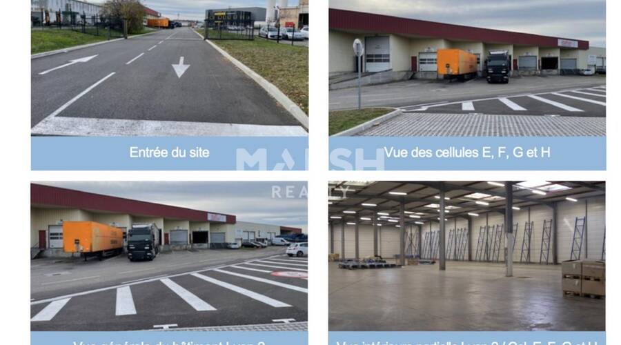 MALSH Realty & Property - Local d'activités - Lyon Sud Est - Corbas - 11