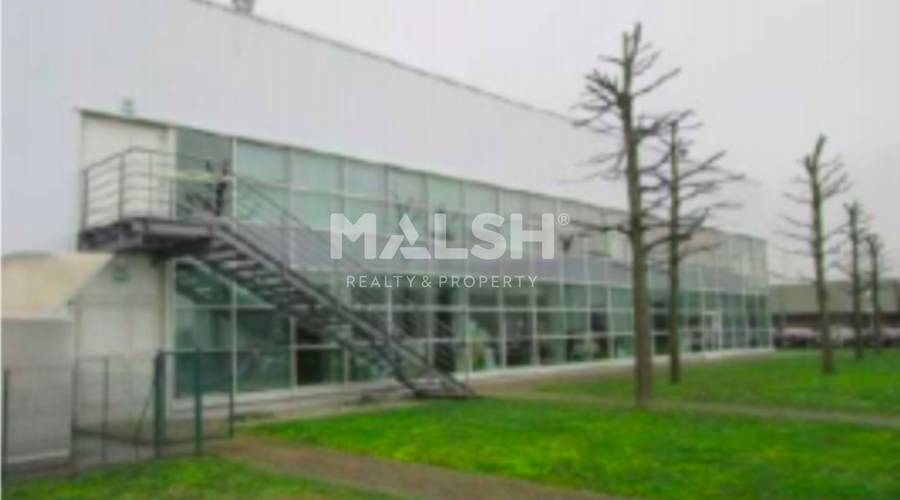 MALSH Realty & Property - Activité - Côtière (Ain/A42/Beynost/Dagneux/Montluel) - Dagneux - MD_