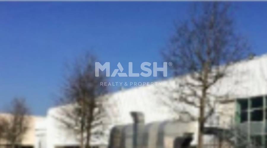 MALSH Realty & Property - Activité - Côtière (Ain/A42/Beynost/Dagneux/Montluel) - Dagneux - MD_