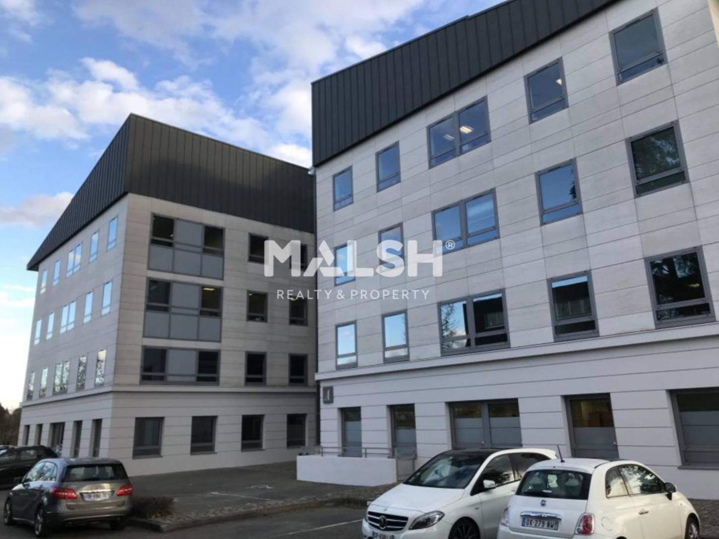 MALSH Realty & Property - Bureaux - Lyon Nord Ouest ( Techlide / Monts d'Or ) - Limonest - 2