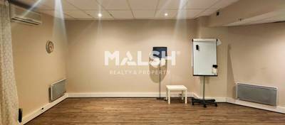 MALSH Realty & Property - Bureaux - Plateau Nord / Val de Saône - Caluire-et-Cuire - 2