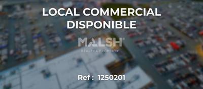 MALSH Realty & Property - Commerce - Plateau Nord / Val de Saône - Caluire-et-Cuire - 1