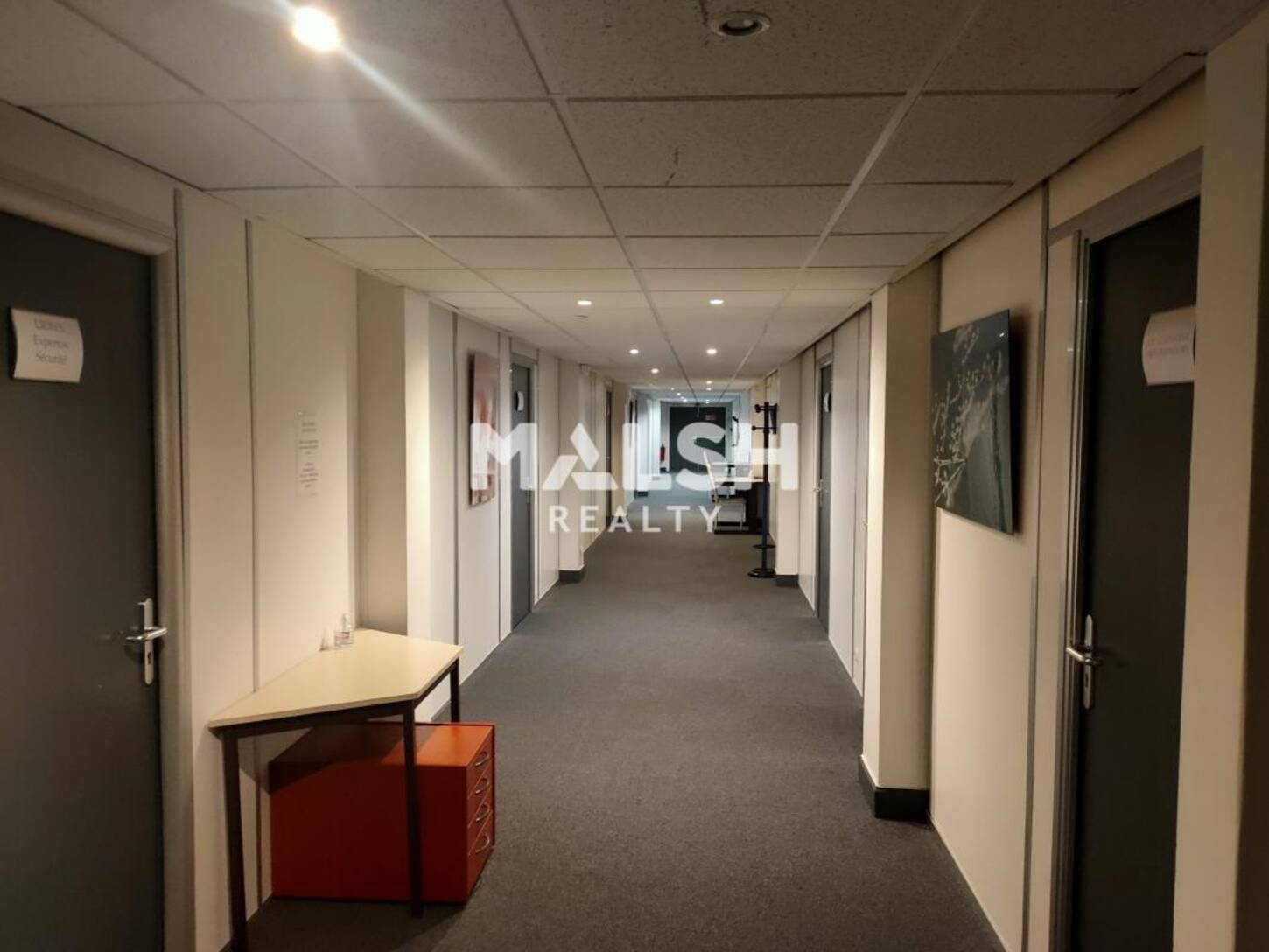 MALSH Realty & Property - Bureau - Lyon Nord Ouest (Techlid / Monts d'Or) - Écully - 2