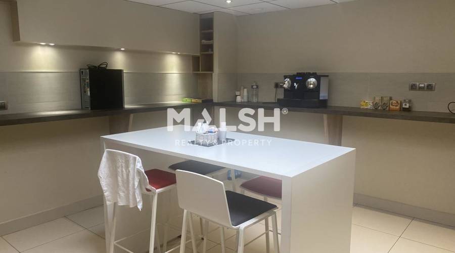 MALSH Realty & Property - Bureaux - Lyon 6° - Lyon 6 - 12