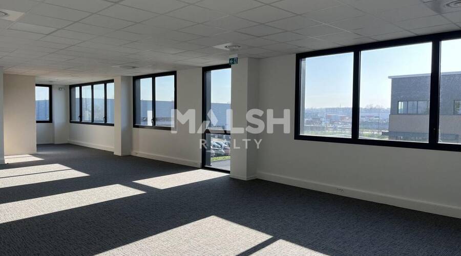 MALSH Realty & Property - Local d'activités - Lyon EST (St Priest /Mi Plaine/ A43 / Eurexpo) - Saint-Priest - 12