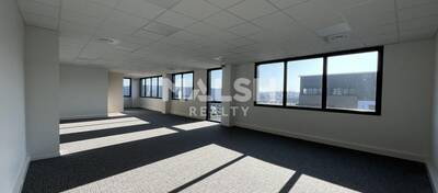 MALSH Realty & Property - Local d'activités - Lyon EST (St Priest /Mi Plaine/ A43 / Eurexpo) - Saint-Priest - 9