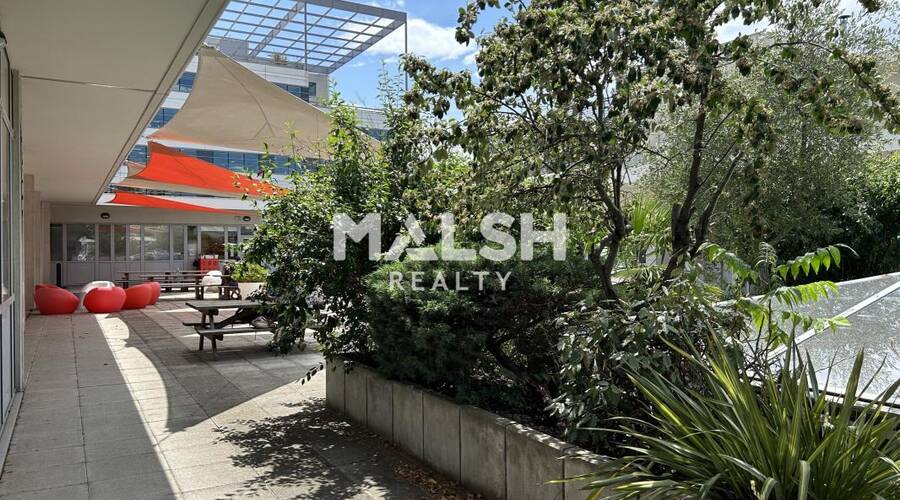 MALSH Realty & Property - Bureau - Carré de Soie / Grand Clément / Bel Air - Villeurbanne - 3
