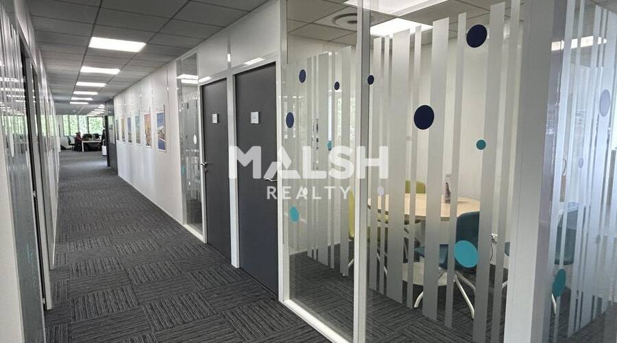 MALSH Realty & Property - Bureau - Carré de Soie / Grand Clément / Bel Air - Villeurbanne - 7
