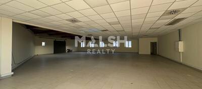 MALSH Realty & Property - Local d'activités - Lyon Nord Est (Rhône Amont) - Décines-Charpieu - 3
