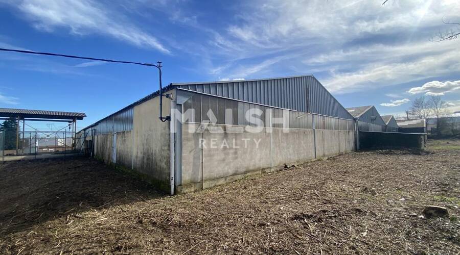MALSH Realty & Property - Local d'activités - Extérieurs NORD (Villefranche / Belleville) - Jassans-Riottier - 9