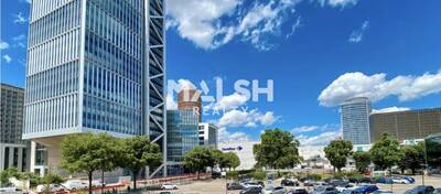 MALSH Realty & Property - Bureau - Lyon 3° / Part-Dieu - Lyon 3 - 12