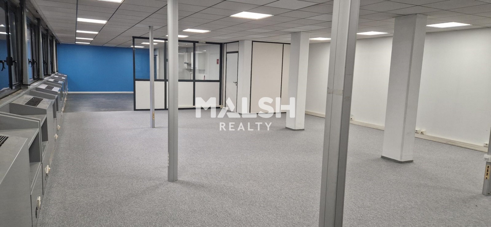 MALSH Realty & Property - Bureau - Carré de Soie / Grand Clément / Bel Air - Villeurbanne - 6
