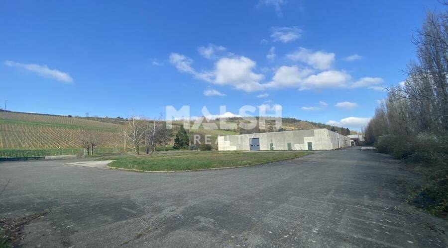 MALSH Realty & Property - Local d'activités - Saône et Loire (71) - Berzé-la-Ville - 29