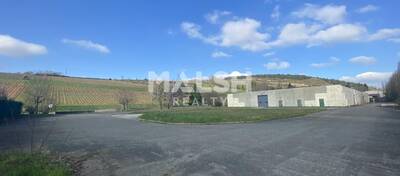 MALSH Realty & Property - Local d'activités - Saône et Loire (71) - Berzé-la-Ville - 30