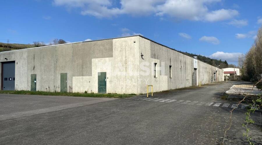 MALSH Realty & Property - Local d'activités - Saône et Loire (71) - Berzé-la-Ville - 31