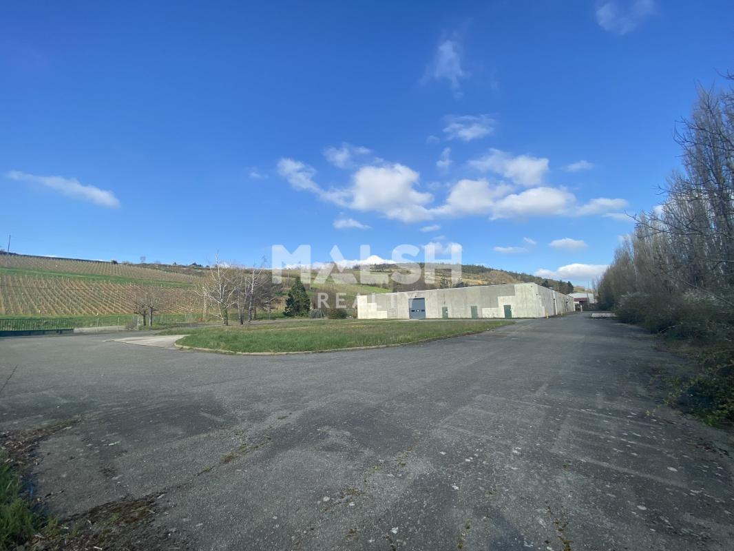 MALSH Realty & Property - Local d'activités - Saône et Loire (71) - Berzé-la-Ville - 29
