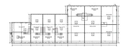 MALSH Realty & Property - Local d'activités - Plateau Nord / Val de Saône - Rillieux-la-Pape - 9