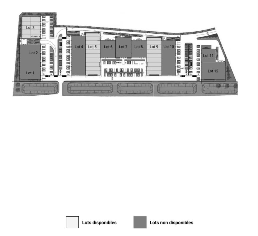 MALSH Realty & Property - Commerce - Extérieurs NORD (Villefranche / Belleville) - Anse - 11