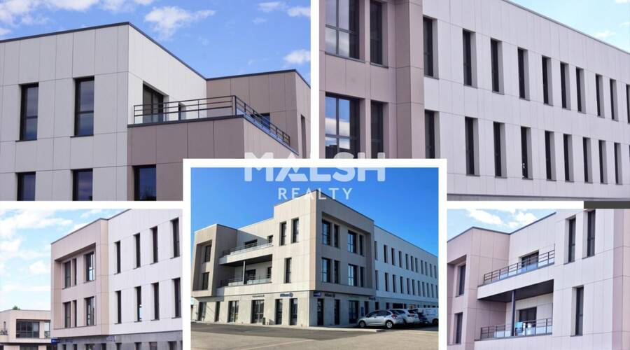 MALSH Realty & Property - Bureau - Extérieurs NORD (Villefranche / Belleville) - Limas - 6