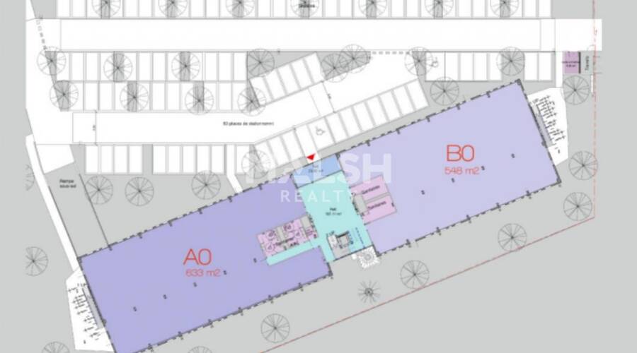 MALSH Realty & Property - Bureau - Plateau Nord / Val de Saône - Rillieux-la-Pape - 5