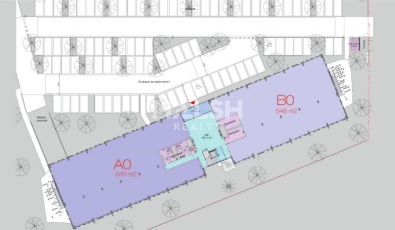 MALSH Realty & Property - Bureau - Plateau Nord / Val de Saône - Rillieux-la-Pape - 5