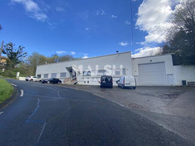 MALSH Realty & Property - Local d'activités - Plateau Nord / Val de Saône - Fontaines-sur-Saône - 1