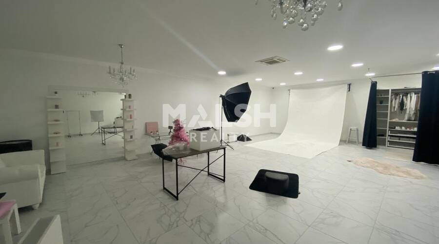MALSH Realty & Property - Local d'activités - Plateau Nord / Val de Saône - Fontaines-sur-Saône - 6