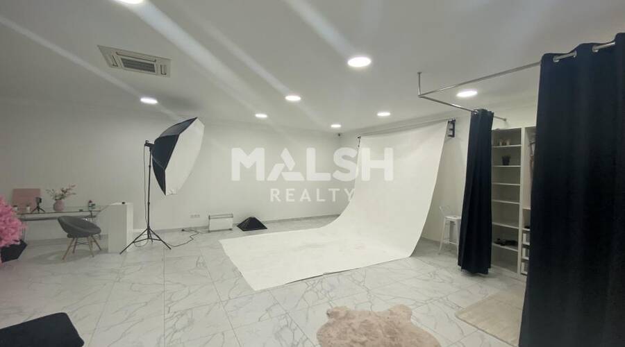 MALSH Realty & Property - Local d'activités - Plateau Nord / Val de Saône - Fontaines-sur-Saône - 7