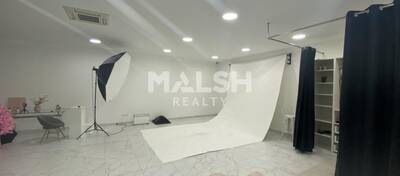 MALSH Realty & Property - Local d'activités - Plateau Nord / Val de Saône - Fontaines-sur-Saône - 7