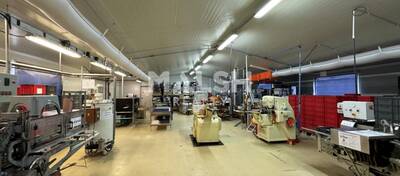 MALSH Realty & Property - Local d'activités - Saint Etienne - Chambon-Feugerolles - 7