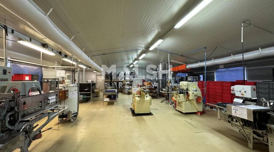 MALSH Realty & Property - Local d'activités - Saint-Etienne Métropole - Chambon-Feugerolles - 7