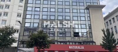 MALSH Realty & Property - Bureau - Carré de Soie / Grand Clément / Bel Air - Villeurbanne - 2