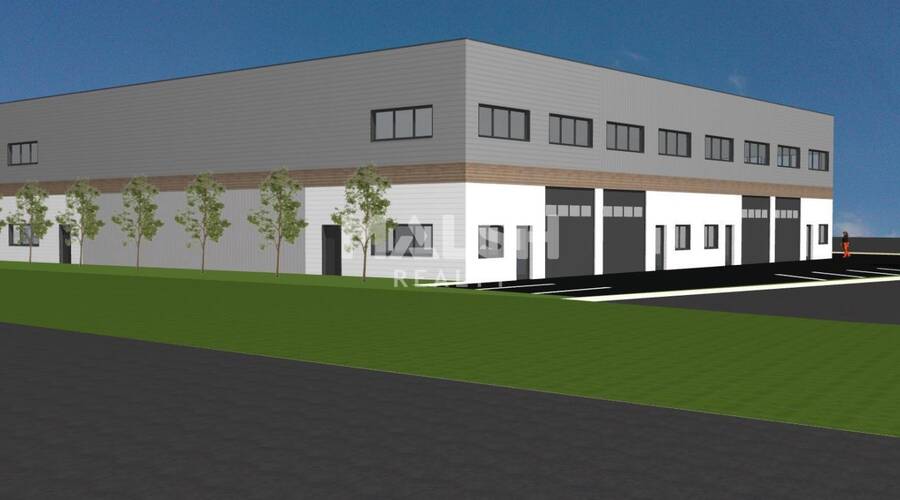 MALSH Realty & Property - Local d'activités - Lyon Sud Est - Corbas - 3