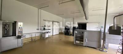 MALSH Realty & Property - Local d'activités - Extérieurs NORD (Villefranche / Belleville) - Alix - 9