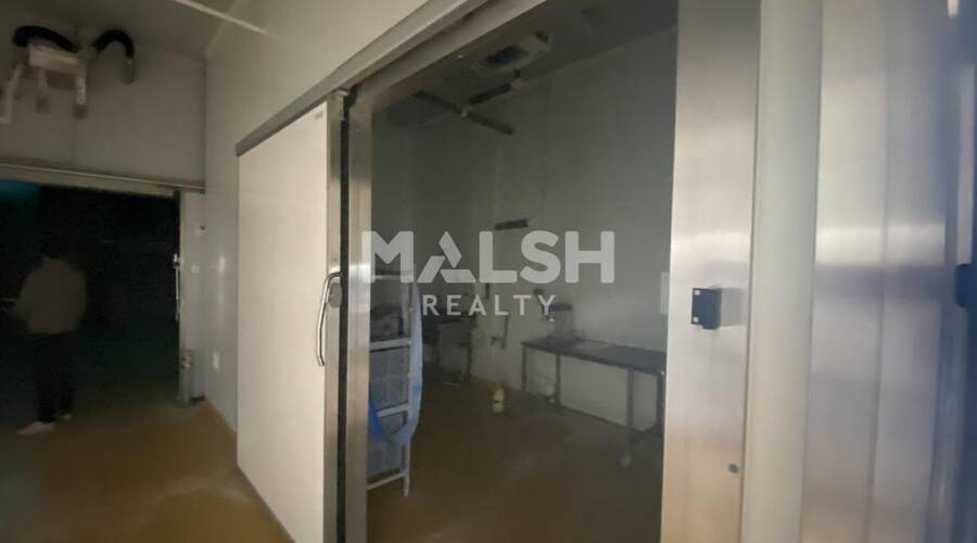 MALSH Realty & Property - Local d'activités - Extérieurs NORD (Villefranche / Belleville) - Alix - 10
